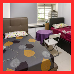 Blk 825 Jurong West Street 81 (Jurong West), HDB 5 Rooms #504532351